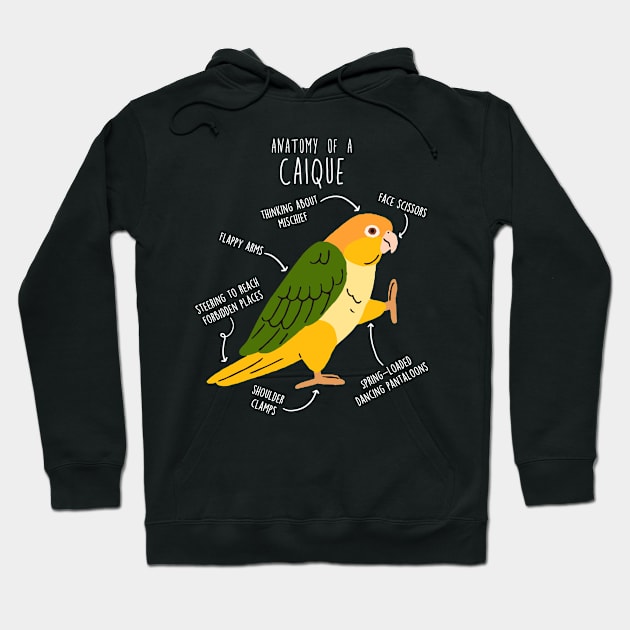 White-bellied Caique Parrot Anatomy Hoodie by Psitta